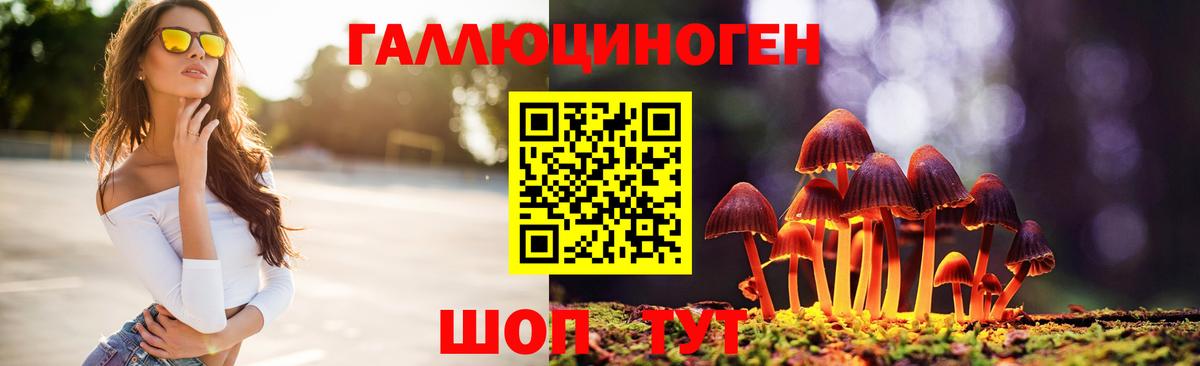 Лесозаводск  Псилоцибиновые грибы ЛСД  Вход с VPN  Псилоцибиновые грибы мицелий 